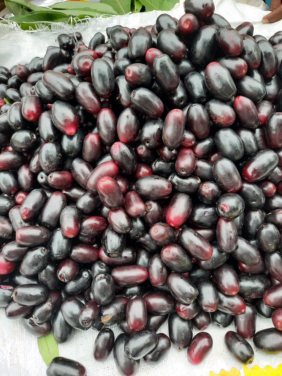 ashok20's tweet image. Rs 100 for 500 gms. @_dinakar_ #javaplum