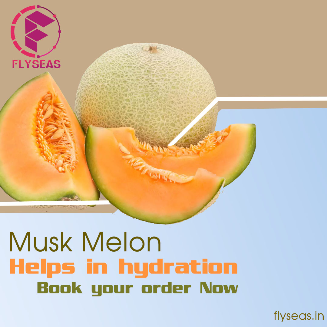 Flyseas1's tweet photo. Muskmelon, our summer fruit is not only mouthwatering and refreshing but keeps you hydrated at all times ⭐
Order your muskmelon containers now from @Flyseas1
#Muskmelon #freshMuskmelon #importMuskmelon #exportMuskmelon #container #covid #fruitsbasket #fruitdelivery #mapstreak https://t.co/G6fjzPQHoI