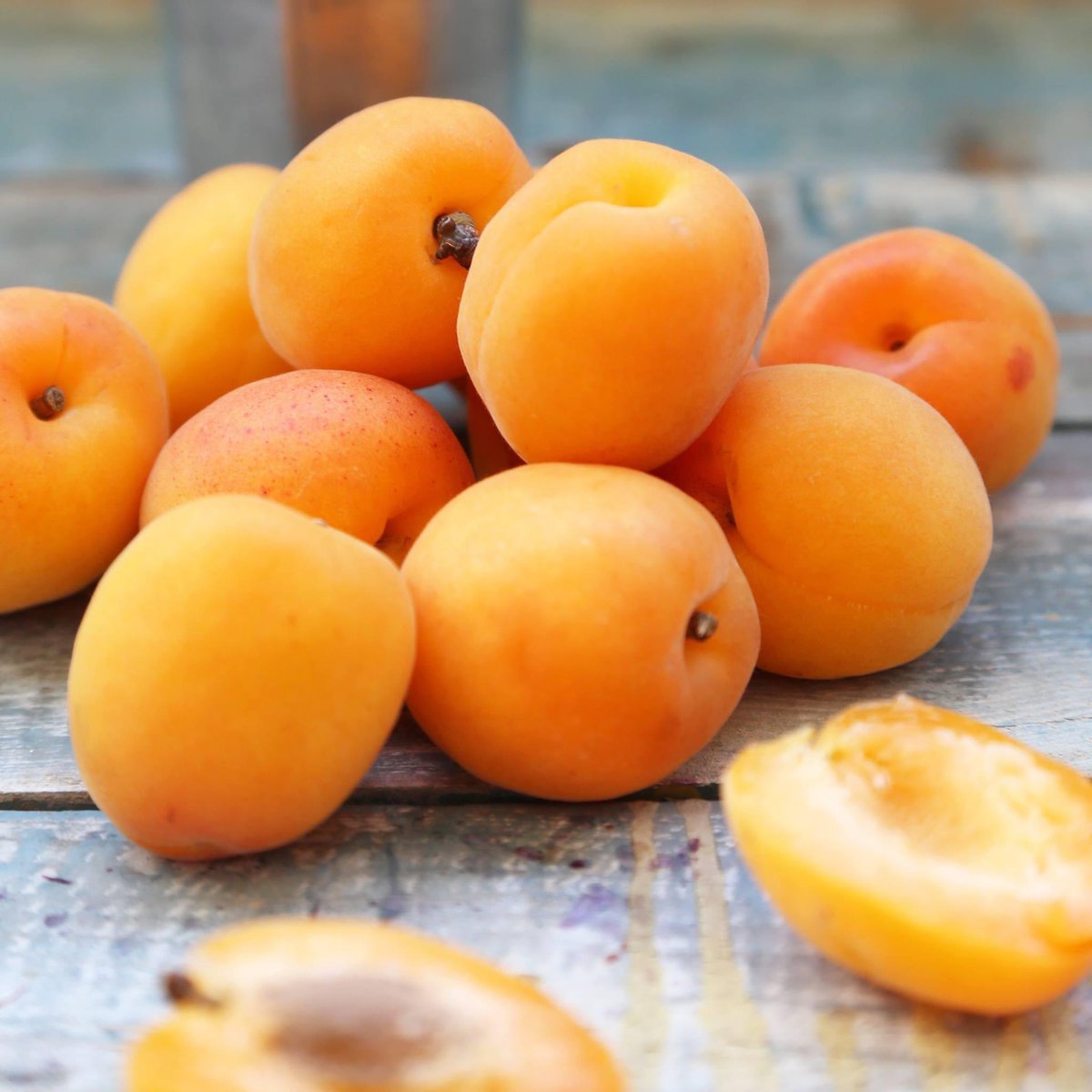 Apricot Season!