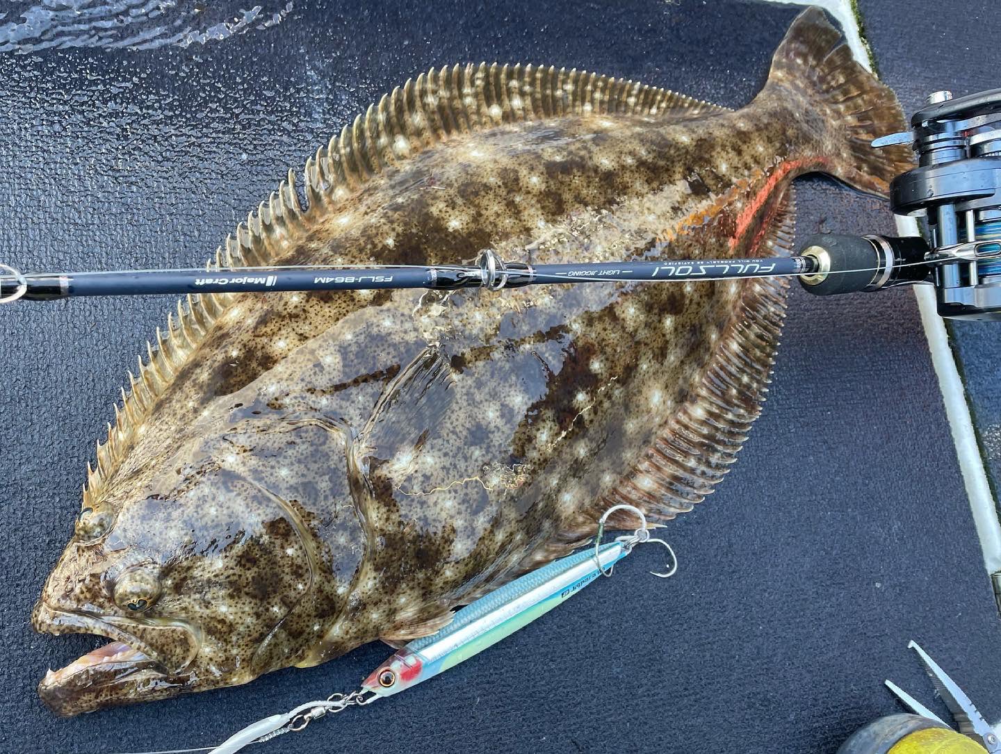 メジャークラフト株式会社 北海道 トシです 今回は積丹でオフショア ヒラメ 狙いで ジギング です ヒットジグは圧倒的な信頼をよせる ジグパラバーチカル 150gの腹グローキビナゴ とお気に入りの フルソリ やりとりの安心感はバツグン 今度