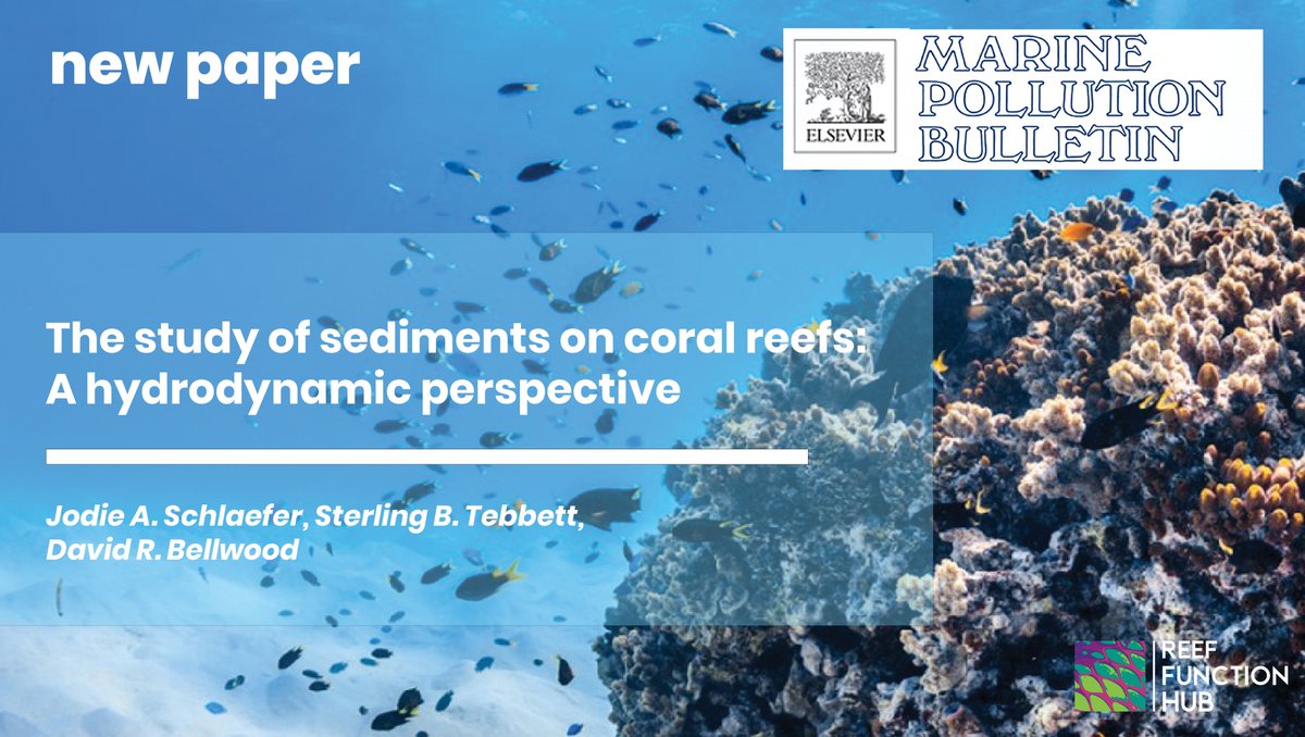 Reef Function Hub (@reeffunctionhub) on Twitter photo New paper out! 😃
in #MarinePollutionBulletin (<a href="/AquaticSciences/">Elsevier</a>)
In <a href="/JodieSchlaefer/">Jodie Schlaefer</a>'s #PostDoc work, herself, <a href="/SB_Tebbett/">Sterling Tebbett</a> and <a href="/bellwoodlab/">The Bellwood Lab</a> reviewed how the literature measures #sediments on #coral #reefs.
doi.org/10.1016/j.marp…
(1/5) New paper out! 😃
in #MarinePollutionBulletin (<a href="/AquaticSciences/">Elsevier</a>)
In <a href="/JodieSchlaefer/">Jodie Schlaefer</a>'s #PostDoc work, herself, <a href="/SB_Tebbett/">Sterling Tebbett</a> and <a href="/bellwoodlab/">The Bellwood Lab</a> reviewed how the literature measures #sediments on #coral #reefs.
doi.org/10.1016/j.marp…
(1/5)