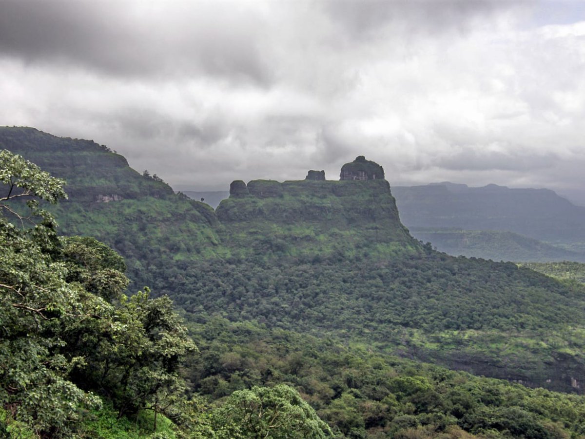 If You Look into NaTure, You Will Understand EveryThing Better..#morningthoughts #Pune #Greenpune