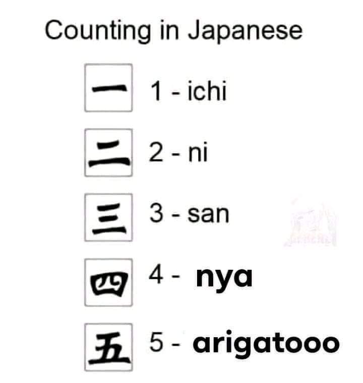 lagrandchose's tweet photo. Learn Japanese 101. https://t.co/3ZkBuYIlVH