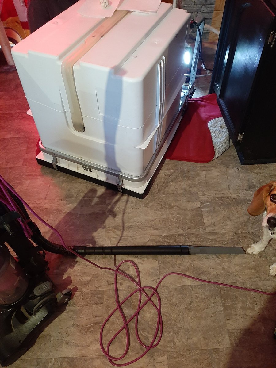 lolabeagle5's tweet photo. Ma took this pic to show someone that Pa was fixing the dishwasher..and looky, there's me๐ Ma says I photobomb every pic she takes๐
#dogsoftwitter #modelbeagle # https://t.co/HKWxXoRuiR
