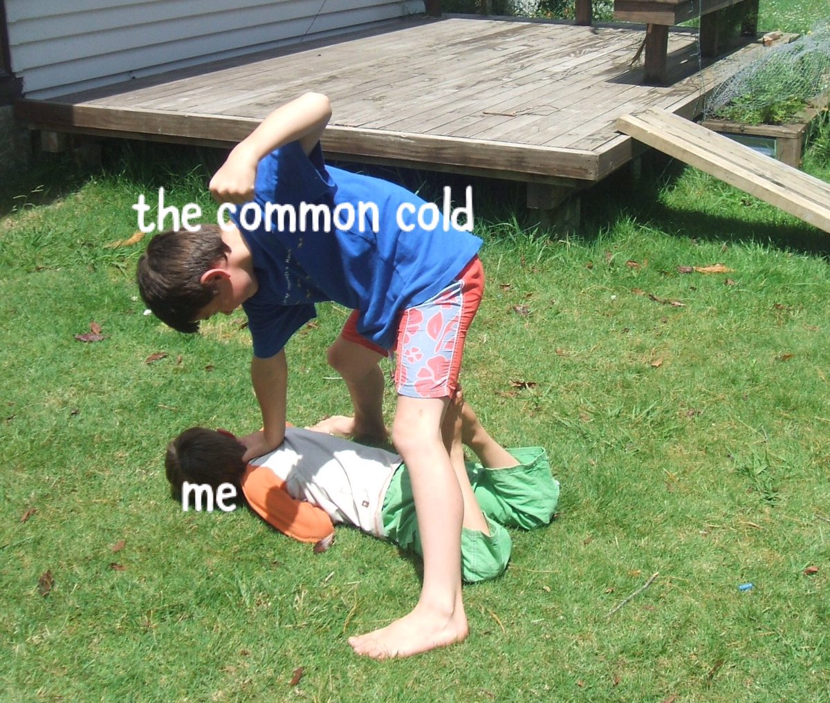 Danny Taylor (BLM) 🍓🍋🍇🍊 tweet media