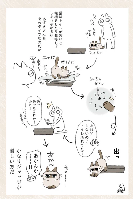 きびしめ #シャム猫あずきさんは世界の中心 