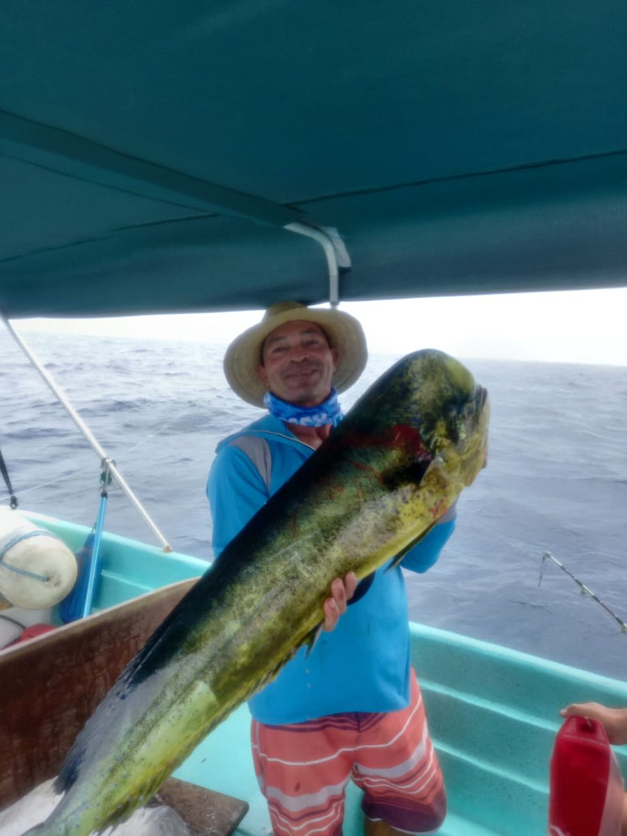 #pedasi #islaiguana #panama