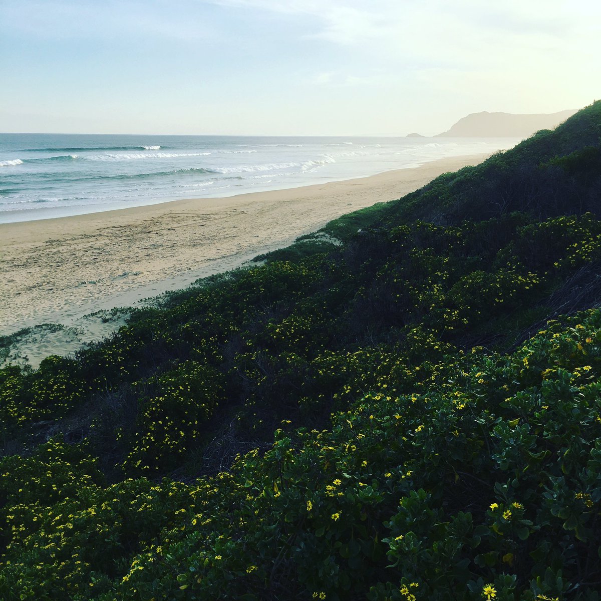 EmbodyMastery's tweet image. Now this is what living is all about! Detached from 3rd Dimensional energies, tapping into the purest &amp;amp; most natural states of abundance and actualizing my desired life! HDIGABTT?! 🌈 #unplugfromthematrix