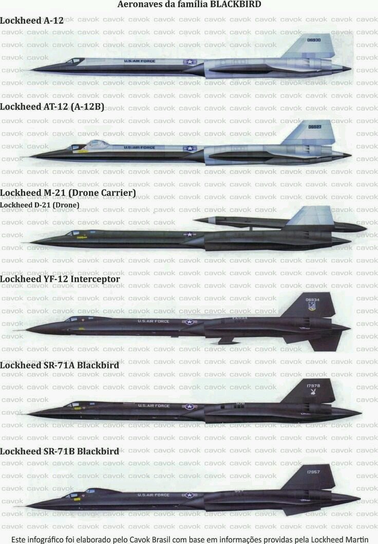 Ninja998998's tweet photo. BlackBird family https://t.co/zmzj6PVdNB