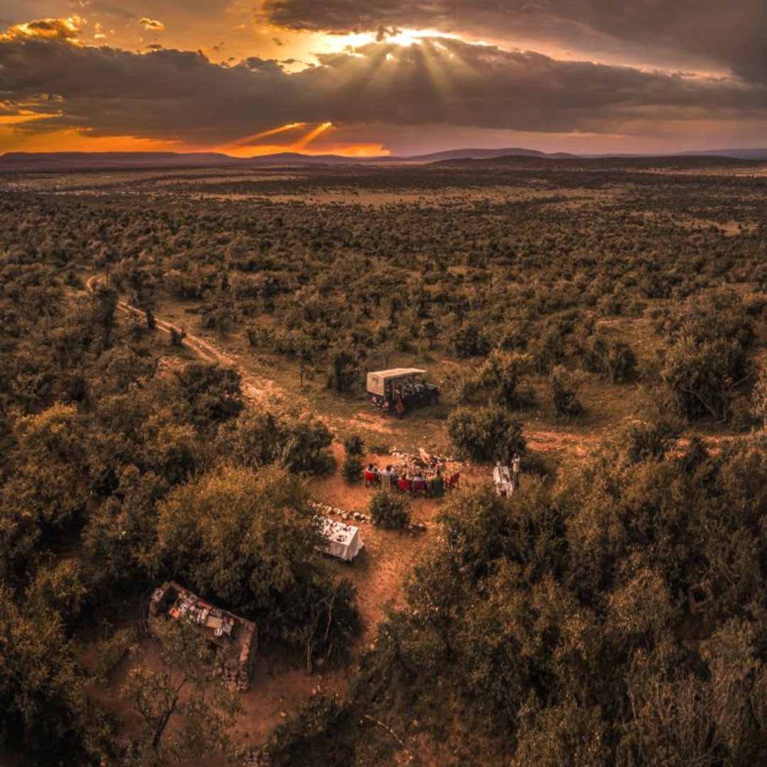 OlarroK's tweet photo. There’s something so soothing and serene about this picture. Away from the city lights into a more quiet and magical place.
#privateconservancy #luxurysafari #safarikenya #travelafrica #wildlifeafrica #privatesafari #kenya #safarilodge #africansafari https://t.co/CZvunlTAQj
