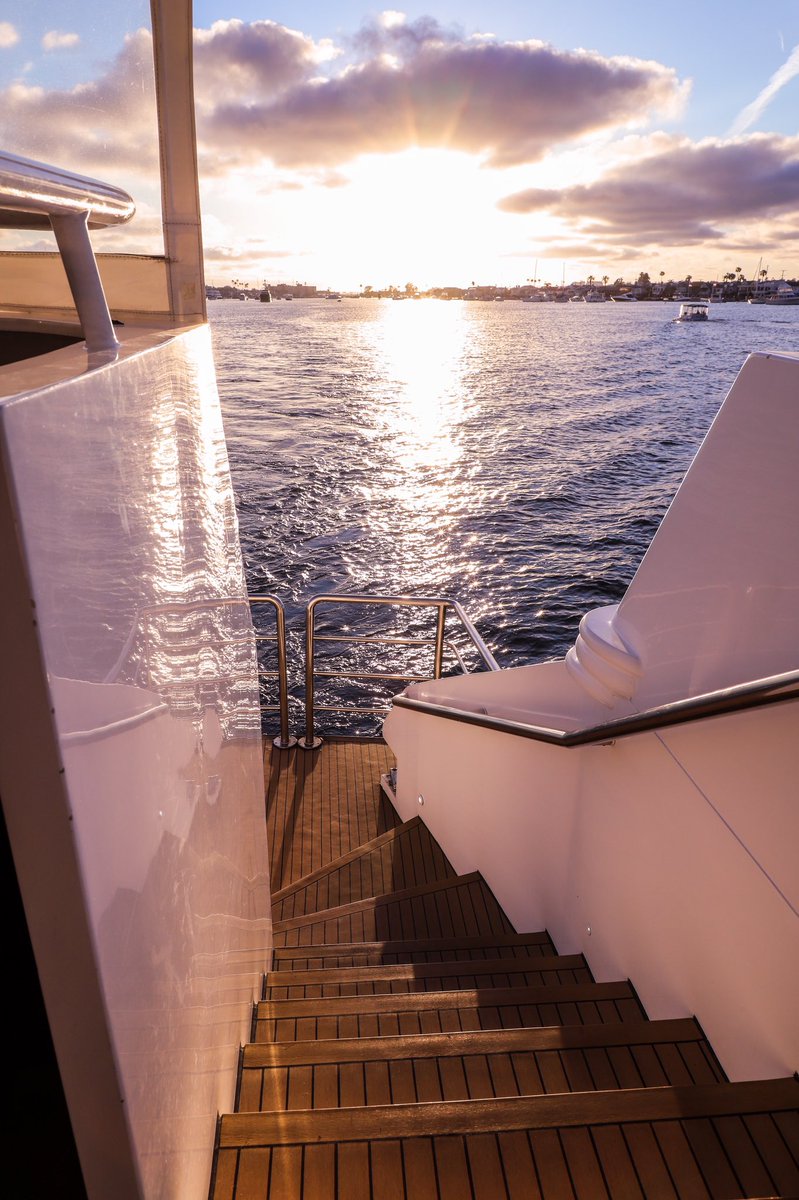 Jesse ⚡️ tweet media