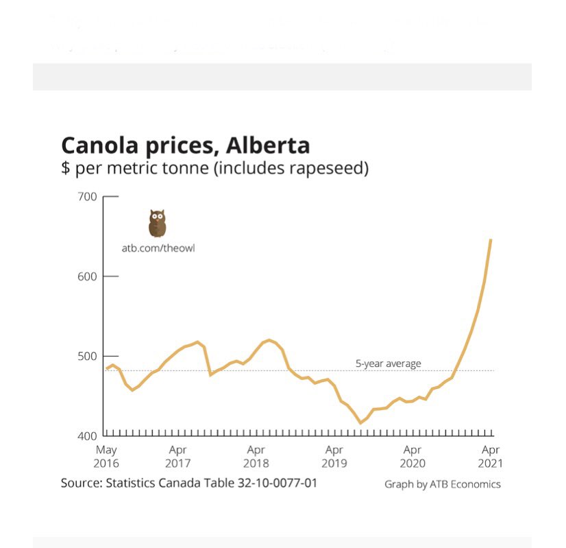 Crop and Cattle prices Strong - Strong Alberta Agriculture Industry:

 #advertising #marketing #branding #digitalmarketing #design #graphicdesign #socialmedia #business #canadianeconomy #albertaeconomy #worldbusiness #supplychain #supportlocal #albertaagriculture #albertaag