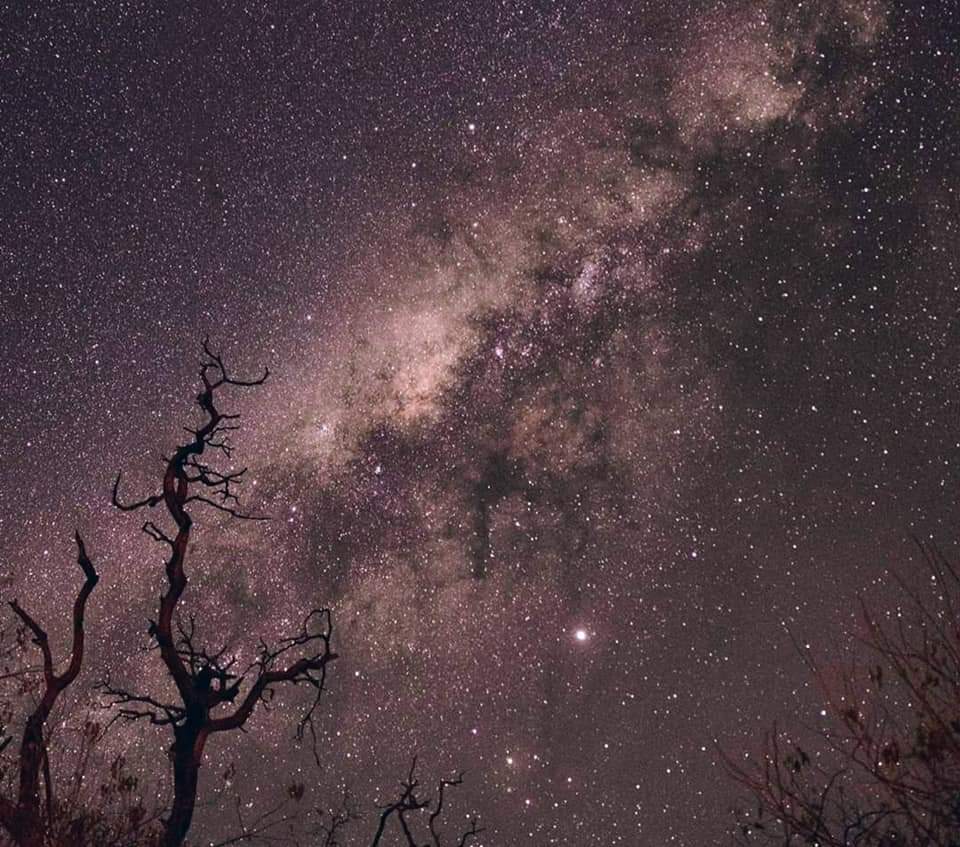 TakuMutepfa's tweet photo. Hwange is not only about wildlife , it has an amazing night life, #stargazers #starlink #milkway #SpaceX #planets #Rozvimoon #supermoon. A perfect location for amateur #astromers #sustainable #ruraltourism #responsibletravel #victoriafalls #Hwange #Zimbabwe
@BlackCase_Girl https://t.co/owpspLhXZF