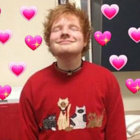 jiminiepabo06's tweet photo. Our loyal boys <3 anyways- STREAM SHAPE OF YOU <3 #EdsheeranIsTheBoyOfArmy #edsheeranisourboy #yoongiisloyal #YoongikingOfBTS https://t.co/3LzSoXg4m5