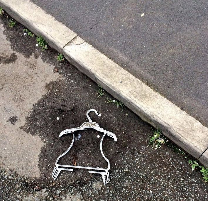 Just found a penguin skeleton in the road. RIP little fella.