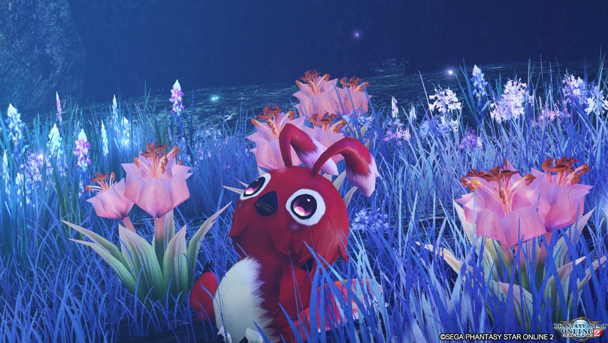 最後のメンテ画とってたのに上げるの忘れてたｗ　まだセーフですよね？　続・幻惑の森
#メンテの日なのでssを貼る #PSO2最後のSS  #ラッピー
