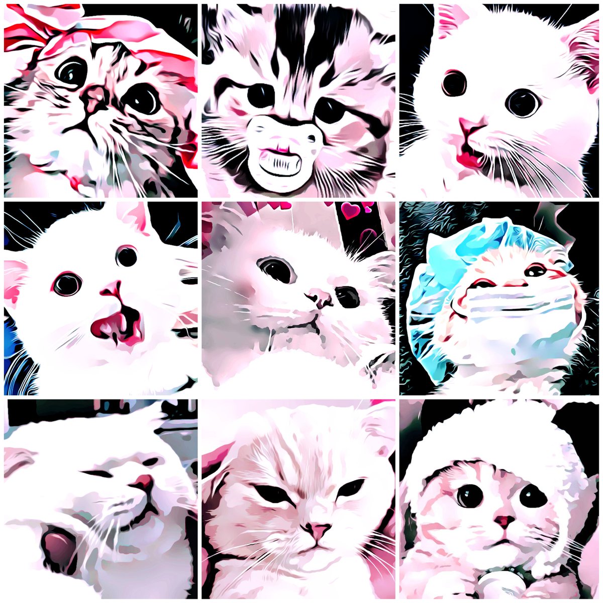 อยากกินแมว