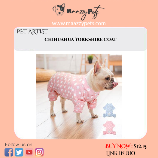 MaazzyP's tweet photo. BUY NOW Chihuahua Yorkshire Coat & All kind of Petโs Brand Accessories at Online Store
BUY NOW : https://t.co/8Q8M1HzuQM
Website https://t.co/sChkUY7Ybb
@maazzypets
#buynow #petsaccessories #pets #bestquality #hightqality
@maazzypets @Australia, https://t.co/FbWu9qfq2k