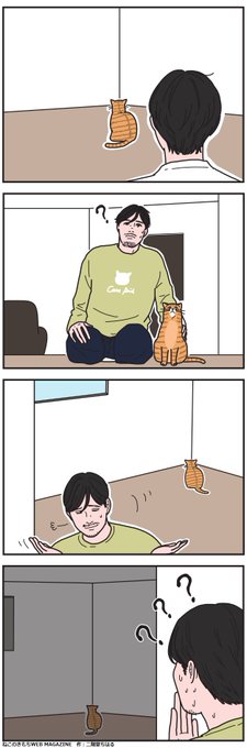 猫にしか見えない何かがある 