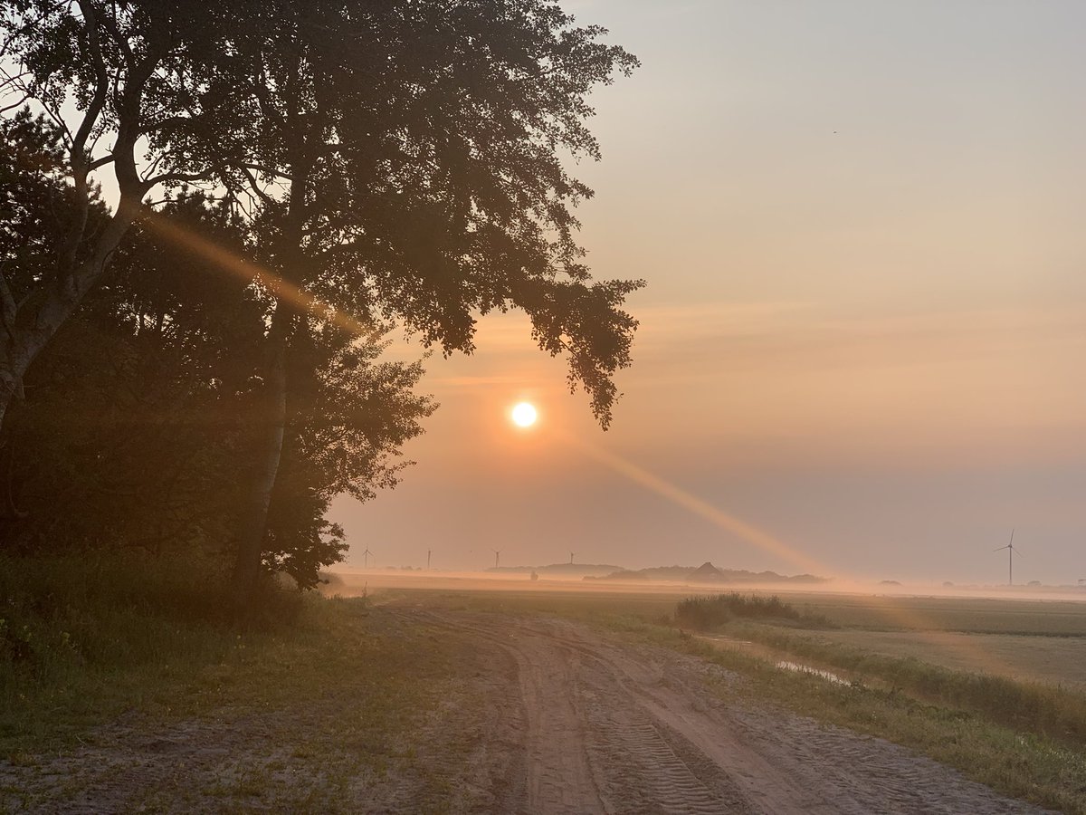 Callantsoog wordt wakker.. #vakantieineigenland #voorjaarslicht #lentegevoel #campinglife #uitzichtvanuitdecaravan