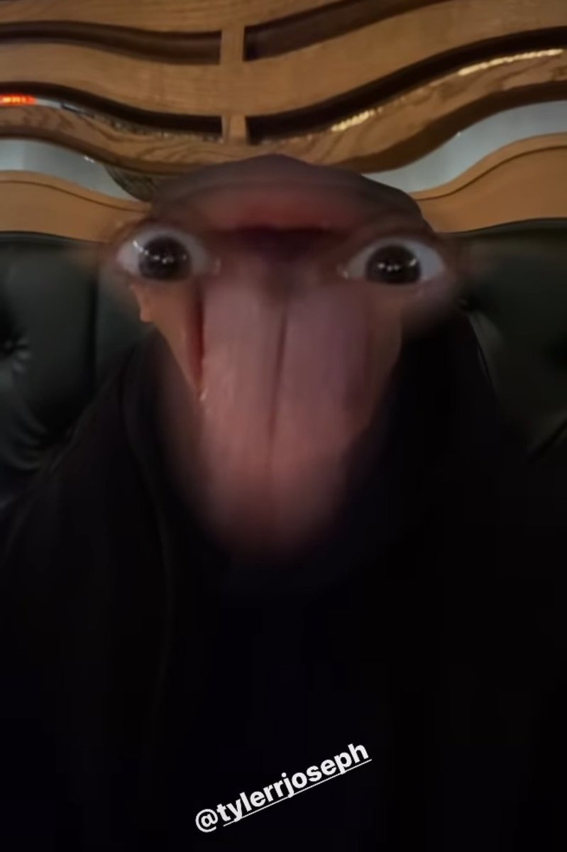 formidableaway's tweet image. help???