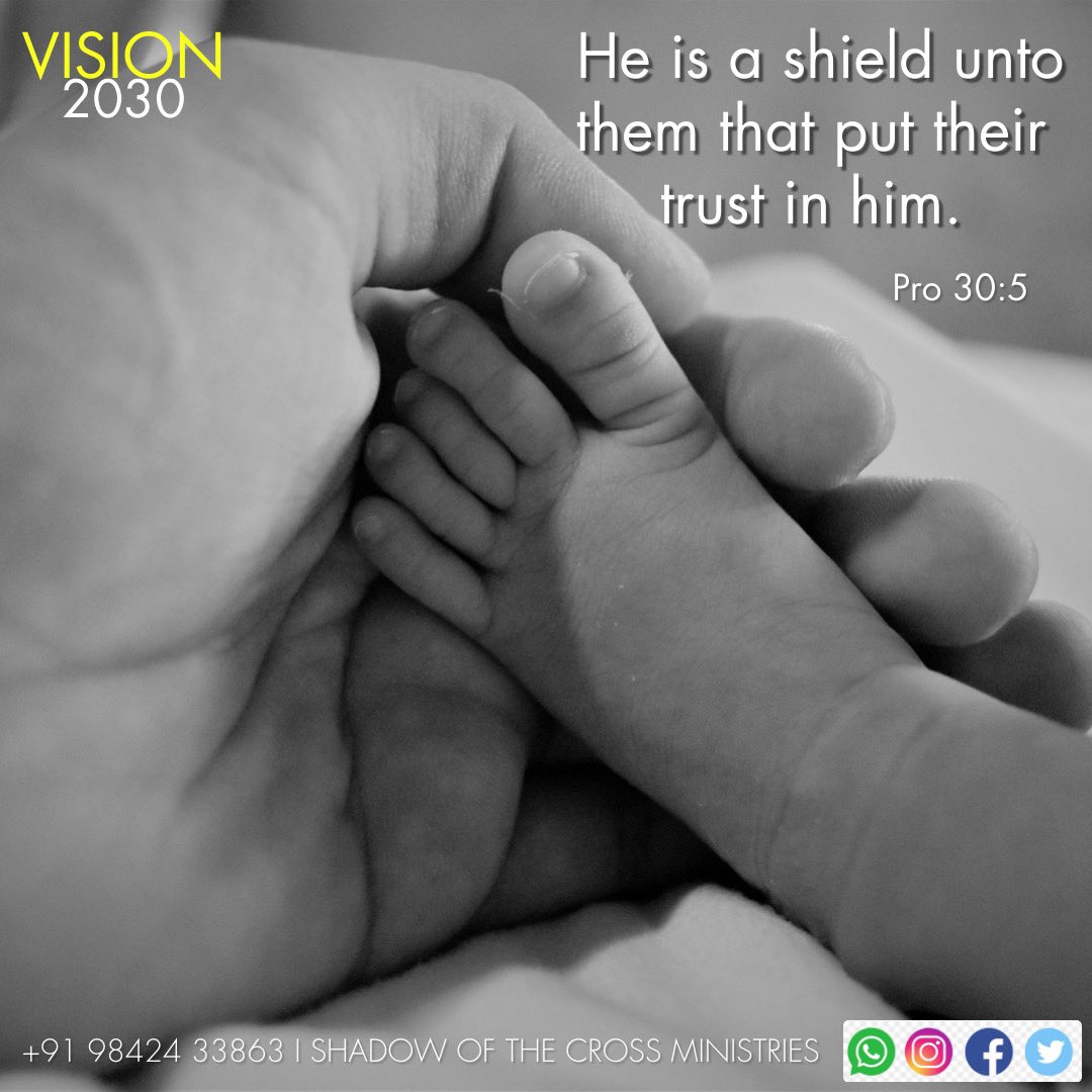 ShadowoftheCro1's tweet image. தம்மை அண்டிக்கொள்ளுகிறவர்களுக்கு அவர் கேடகமானவர்.
he is a shield unto them that put their trust in him.
நீதிமொழிகள்(The Proverbs) 30:5 @ShadowoftheCro1
#lightuptamilnadu #decade_of_revival #vision2030 #shadowofthecrossministrie