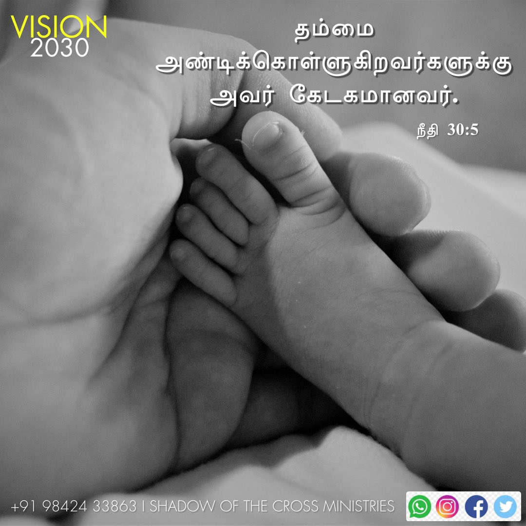 ShadowoftheCro1's tweet image. தம்மை அண்டிக்கொள்ளுகிறவர்களுக்கு அவர் கேடகமானவர்.
he is a shield unto them that put their trust in him.
நீதிமொழிகள்(The Proverbs) 30:5 @ShadowoftheCro1
#lightuptamilnadu #decade_of_revival #vision2030 #shadowofthecrossministrie