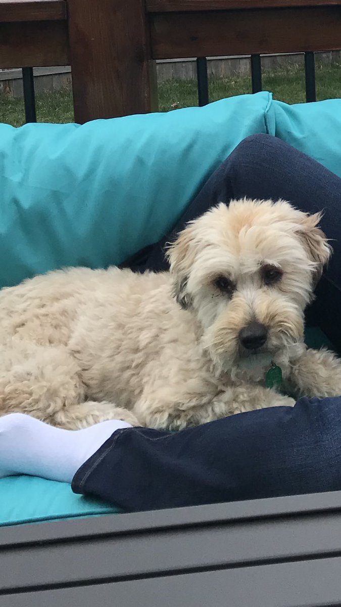 Dr. Jenna Jones tweet media