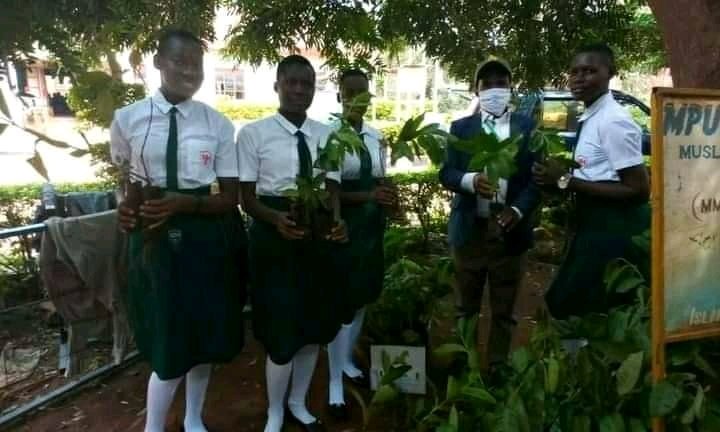 MillionTrees_Ug's tweet photo. Since #WorldEnvironmentDay we're donating short term fruit seedlings to #Busoga schools 100@. Our nursery beds in #Kimaka #Namasagali #Butembe Edward's hamlet open @SERestoration "Make A Difference Week Events" on ecosystem restoration @nemaug @min_waterUg @WWFUganda @FAOUganda https://t.co/lbZDekucub