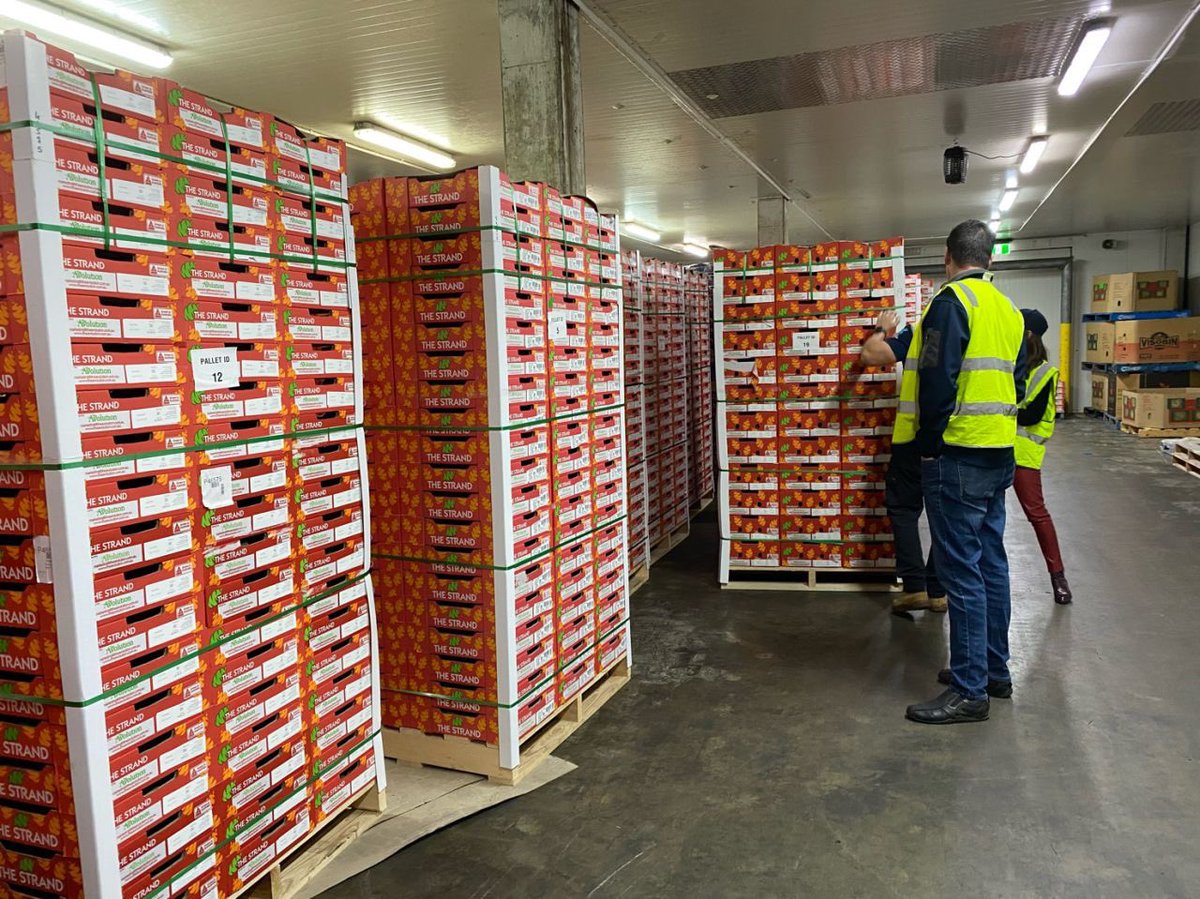 Ben_Lyons_'s tweet image. Great to see export innovation still happening despite Covid well done @AvolutionFresh @sunnyspotfarm @AvocadosAu @ResearchRural @DAFQld