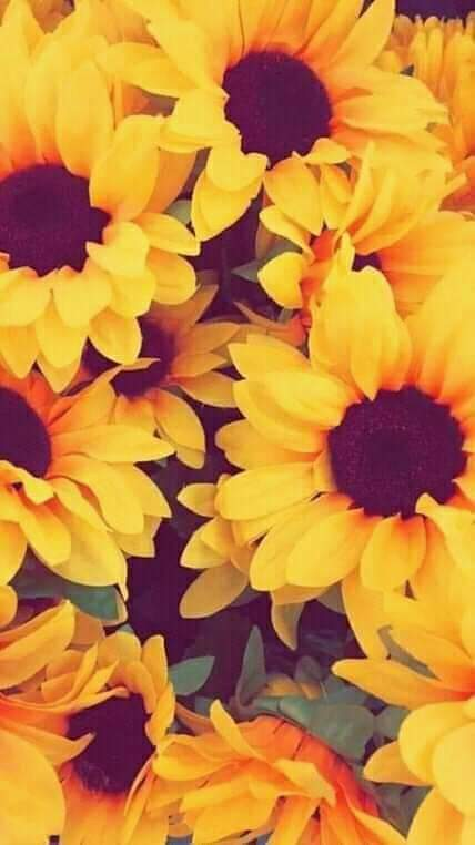 Silviadomi22G's tweet photo. @ranasilvia63 @LuluC222 @fevziates3 @djombic @ManishP78396947 @AbdulCabrel @RoadBrook @sitaravirgo @WALLI27 @GRAHAM15583070 @Chrissyhowell16 @Silviadomi222g @Sandylisflor @Starla_Eileen @tripletsfan19 @Jetisky_F4F @leilasbsantos @Cassandra_Jully @FL_FLOWI @glenton123 @jet_new @elsufuen @Emre1karaman @SergioA60798547 @RoxanaElidaaa @virgyane @Genn_Scog @KatanaHugo @RosaTrunk @EdgarLagos13 @surdomudo1 @HildaLobaton @EnriqueAbantoD6 @insaurraldeh @ThomsenKaleu @SolyMar66091744 @SSscoop475 Buenas noches
Buenas días 
Buen miércoles 
Saludos cordiales 
#PRINCESE 
🌻@ranasilvia63 
🌻@EdgarLagos13 
🌻@EnriqueAbantoD6 
🌻@KatanaHugo 
🌻@glenton123 
🌻@ManishP78396947 
🌻@RosaTrunk 
🌻@leilasbsantos 
🌻@Chrissyhowell16 
🌻@elsufuen https://t.co/HxDqzv5s86