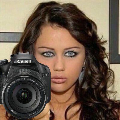 The Assassin Prince tweet media