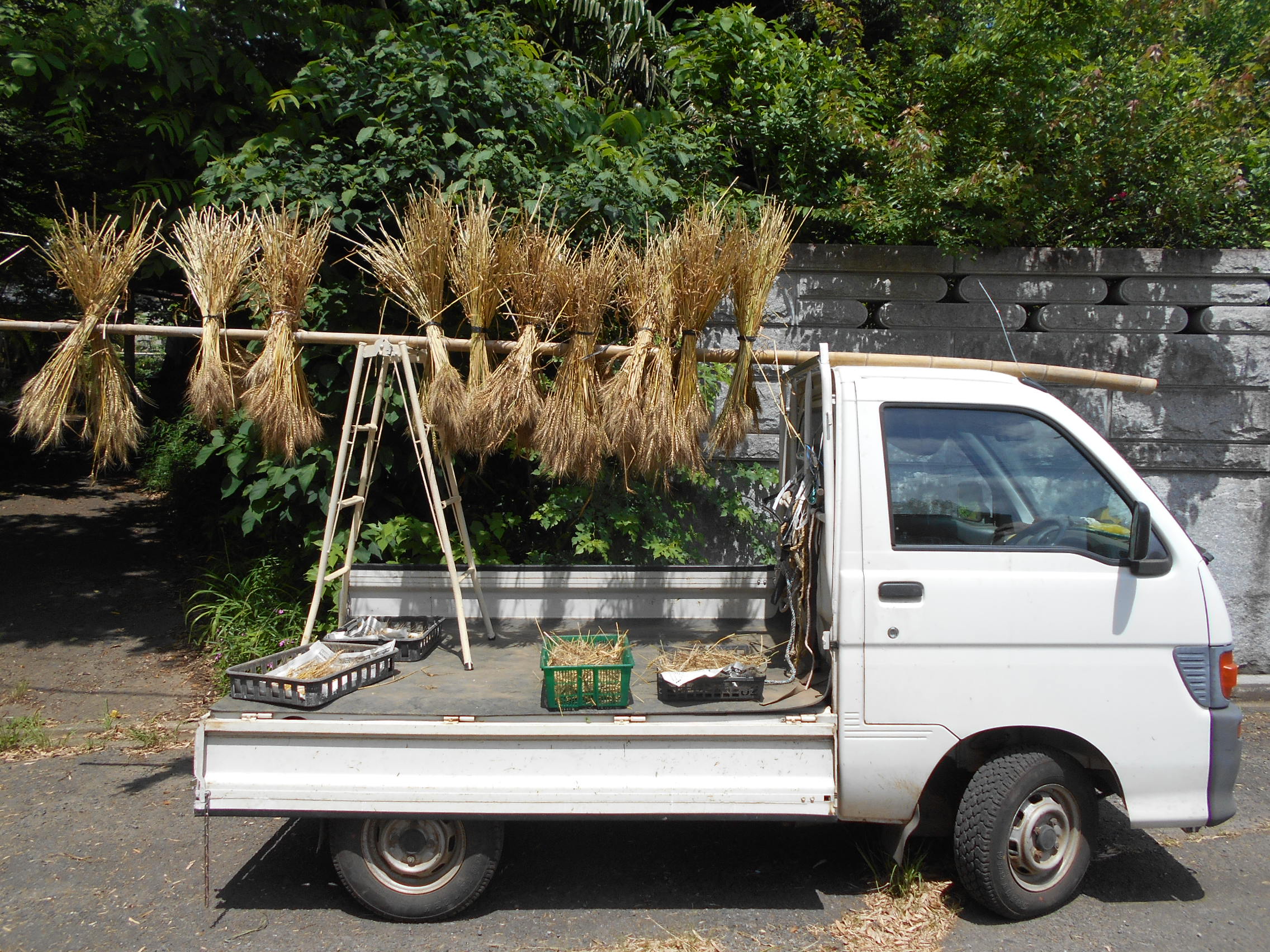 一反百姓 じねん道 地球市民皆農 Everyone Be One Seed Farmers 現在は プラスチックやステンレスなどで 使用を終えると粗大ゴミ おおーこちらも 竹 を使えば プラスティック 削減につながるではないか 阿見町 全国的に は 竹林荒廃 も