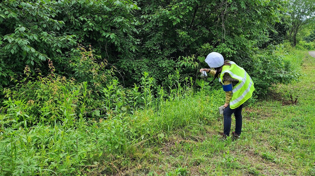 UN_Command's tweet photo. Yesterday, the UNC🇺🇳 team stationed at #ArrowheadHill &amp; #WhiteHorseHill took a quick break from facilitating #RemainsRecovery operations to escort #KoreaForestryService colleagues in the #DMZ. These surveys near Cheorwon continued the Peninsula-wide #PeaceZoneInitiative project. https://t.co/sN8D4zMUda