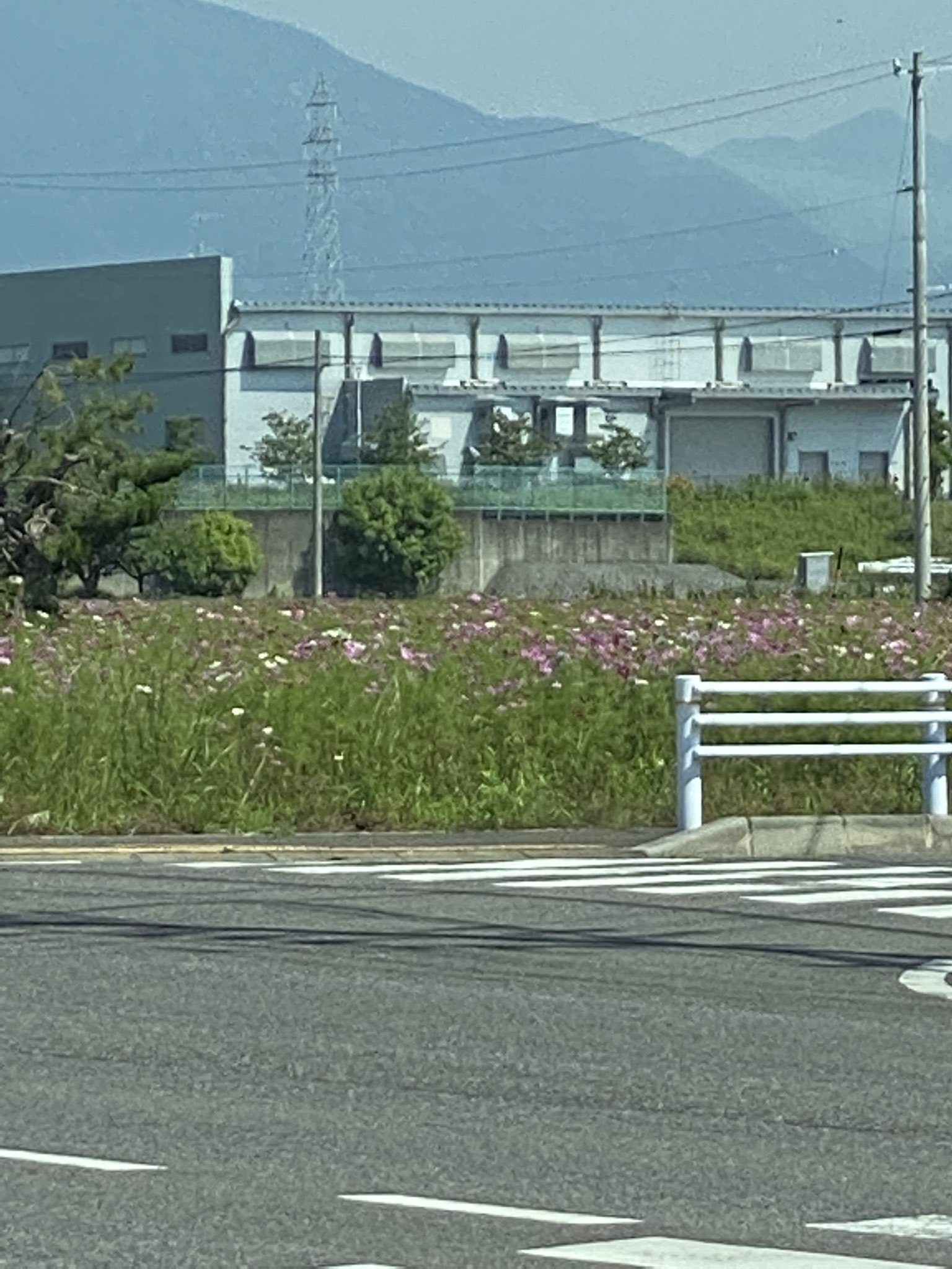 せんじゅ Tomonori0729 Twitter