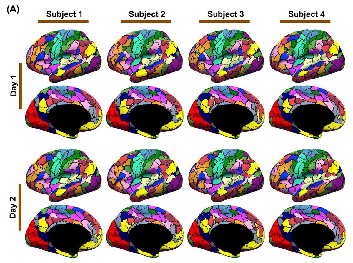 Thomas Yeo (@bttyeo) on Twitter photo 1/3 Our study on individual-specific areal-level parcellations is out academic.oup.com/cercor/advance…
Multi-resolution HCP parcellations & FC matrices found here balsa.wustl.edu/study/show/Pr8…
Spearheaded by <a href="/rubykong92/">Ruby Kong</a> @gordonneuro <a href="/zuoxinian/">Xi-Nian Zuo</a> @Nathan_Spreng <a href="/getian107/">Tian Ge</a> @AvramHolmes <a href="/INM7_ISN/">Simon Eickhoff</a> 1/3 Our study on individual-specific areal-level parcellations is out academic.oup.com/cercor/advance…
Multi-resolution HCP parcellations & FC matrices found here balsa.wustl.edu/study/show/Pr8…
Spearheaded by <a href="/rubykong92/">Ruby Kong</a> @gordonneuro <a href="/zuoxinian/">Xi-Nian Zuo</a> @Nathan_Spreng <a href="/getian107/">Tian Ge</a> @AvramHolmes <a href="/INM7_ISN/">Simon Eickhoff</a>