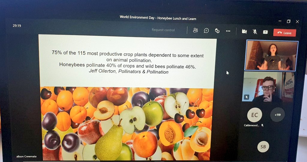 Sarah_KPMG's tweet photo. Great to have @alisonurbanbees from @BeesintheCity hosting a @kpmguk #WorldEnvironmentDay lunch and learn on bees and their role in #EcosystemRestoration. A good reminder of how dependent we are on #pollinators https://t.co/AmazrwXxOX