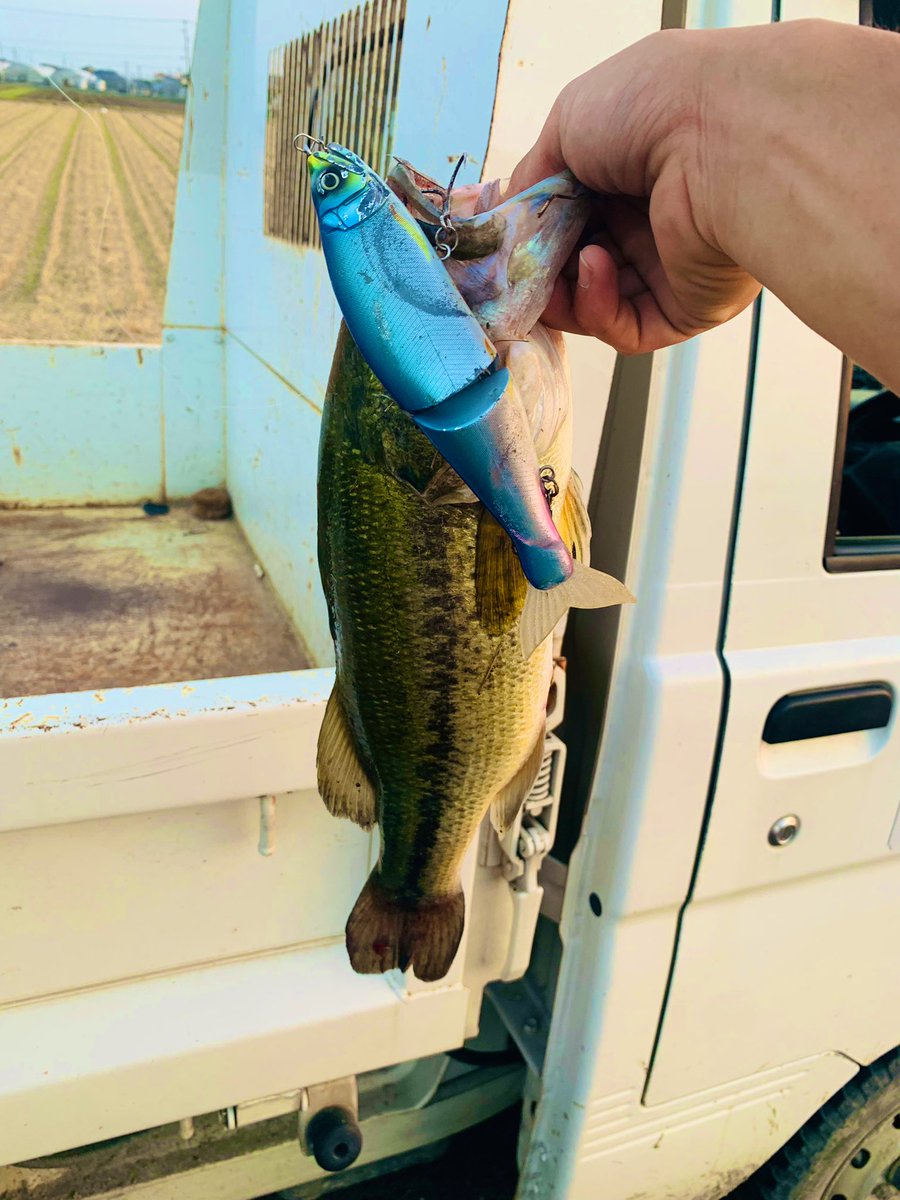 魚と勝負しろ 魚と勝負しろ
