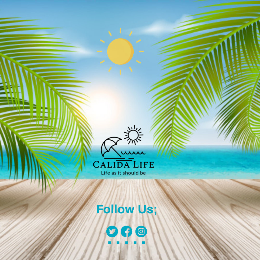 CalidaLife's tweet image. 