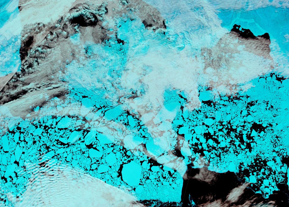 GreatWhiteCon's tweet photo. The effect of the recent heat and wind on the remaining #SeaIce in the #Laptev Sea is now all too apparent:

https://t.co/TY6GvpNyT5

This is a "false colour" image in order to help differentiate clouds from ice. https://t.co/jzVWxL7SqW
