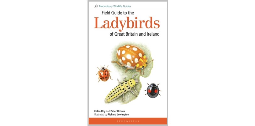 In this month's 25th anniversary draw we have one copy of ''Field Guide to the Ladybirds of Great Britain & Ireland' (softback) to give away. To enter, sign up to receive news from Atropos about books on butterflies, moths and other insects. Go to eepurl.com/dy5IAP