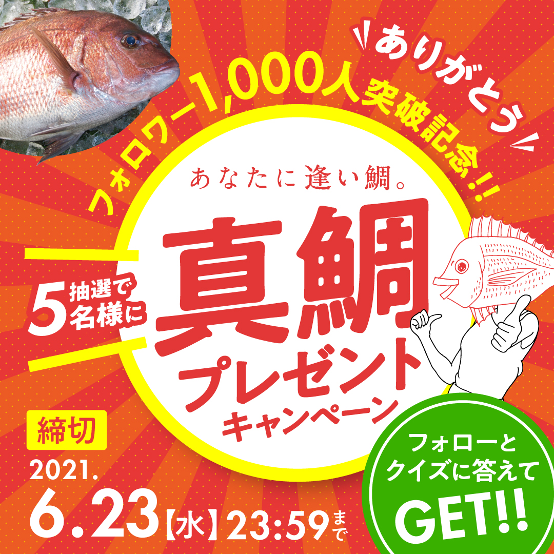 あなたに逢い鯛 Anataniaitai4 Twitter