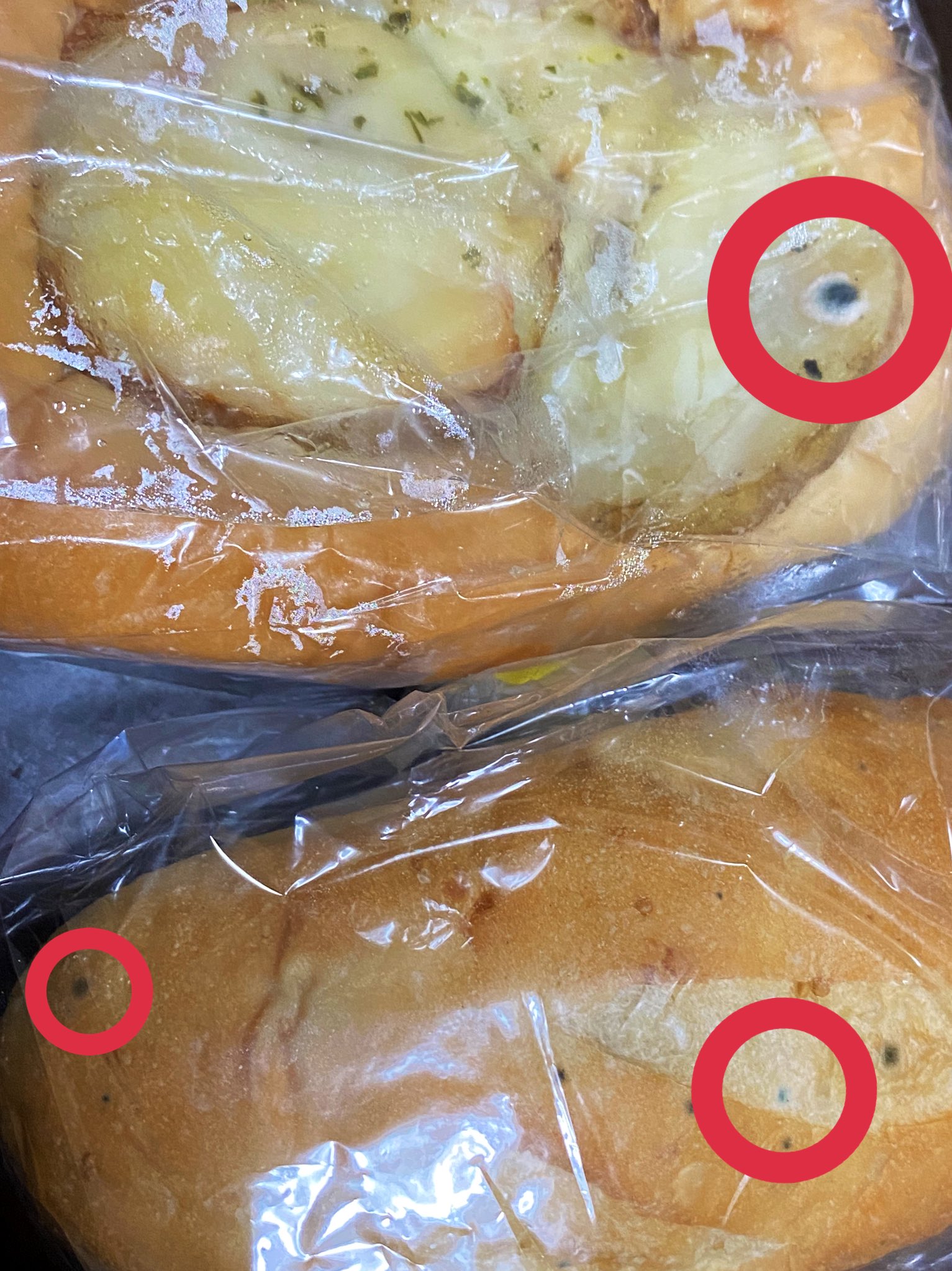 とも取引垢 プロカ必読 私も6 7に買ったドラマトのパンにカビ生えてた 冷蔵庫入れてたけど ダメだった ˊᵕˋ ショック とも取引垢 プロカ必読 私も6 7に買ったドラマトのパンにカビ生えてた 冷蔵庫入れてたけど ダメだった ˊᵕˋ ショック