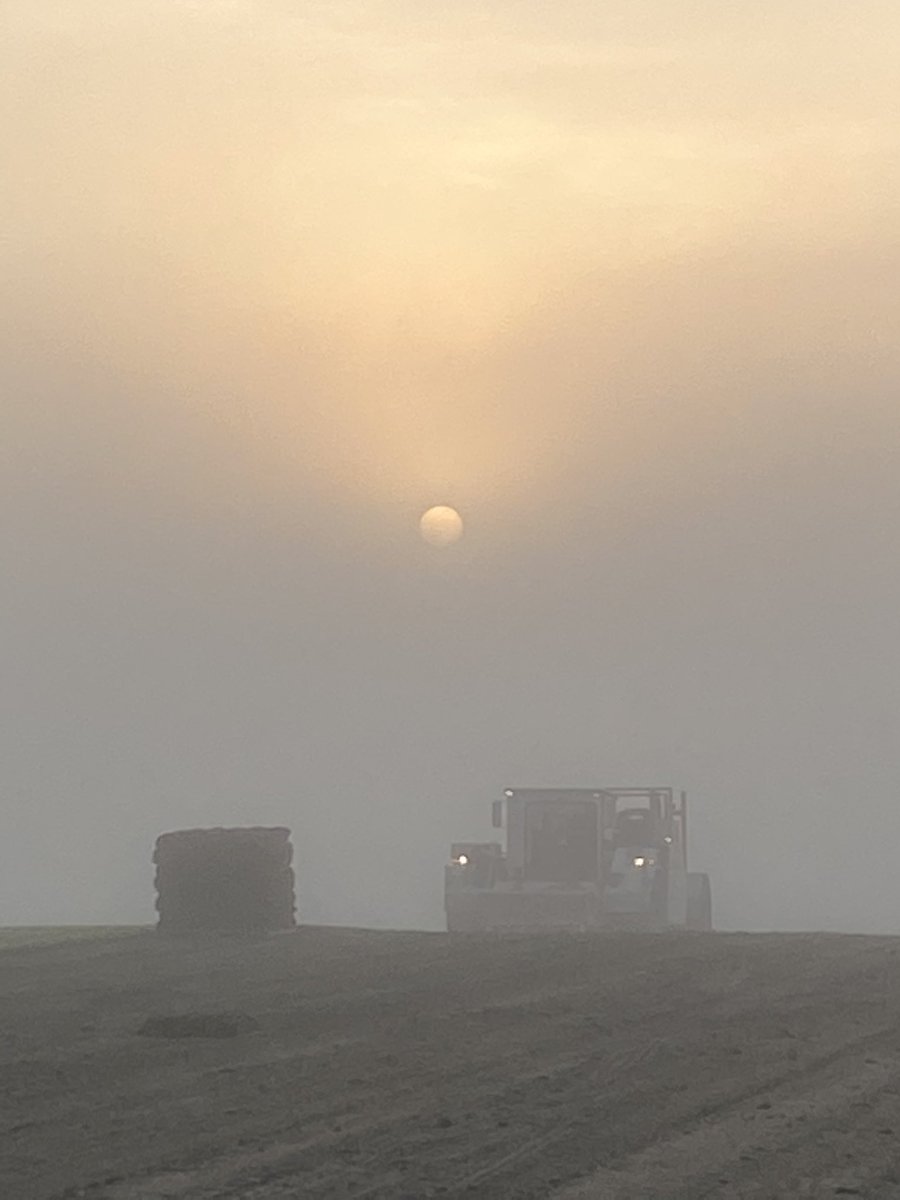 FairgreenSod's tweet photo. It’s a foggy, sticky start to the day. We have fresh sod available for pickup. #thinkgreencallfairgreen #foggy #trebro https://t.co/ATf4Eqk9wI