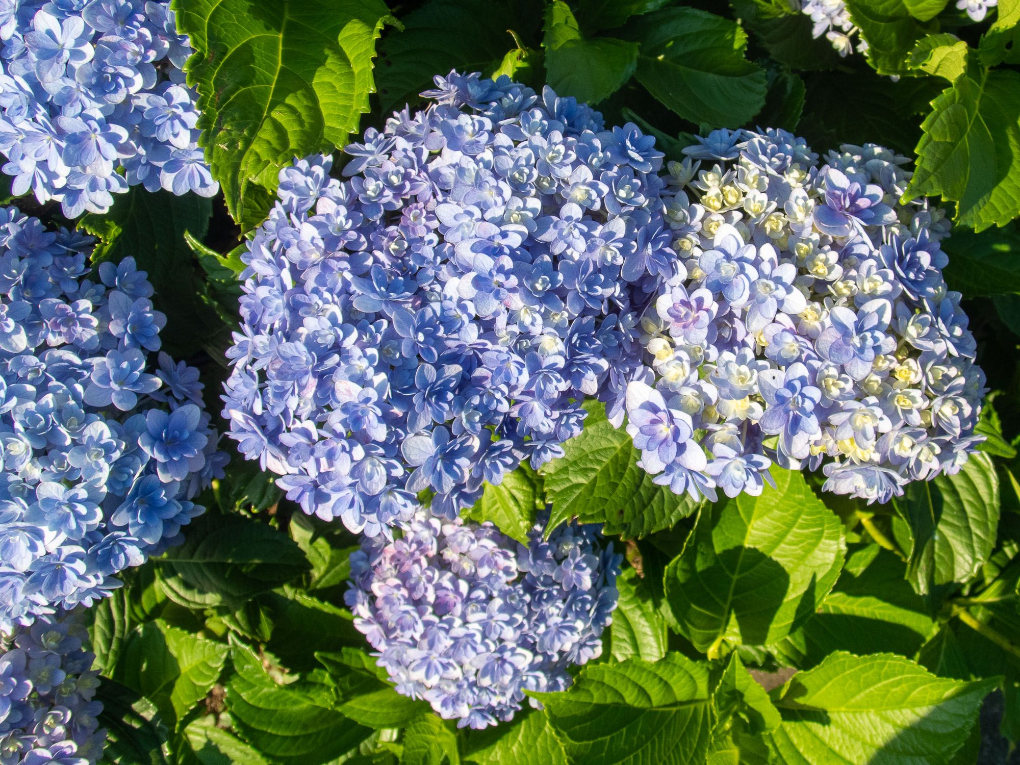 Pbs Twimg Com Media b2p9bxeaeb1s6 Format Jpg