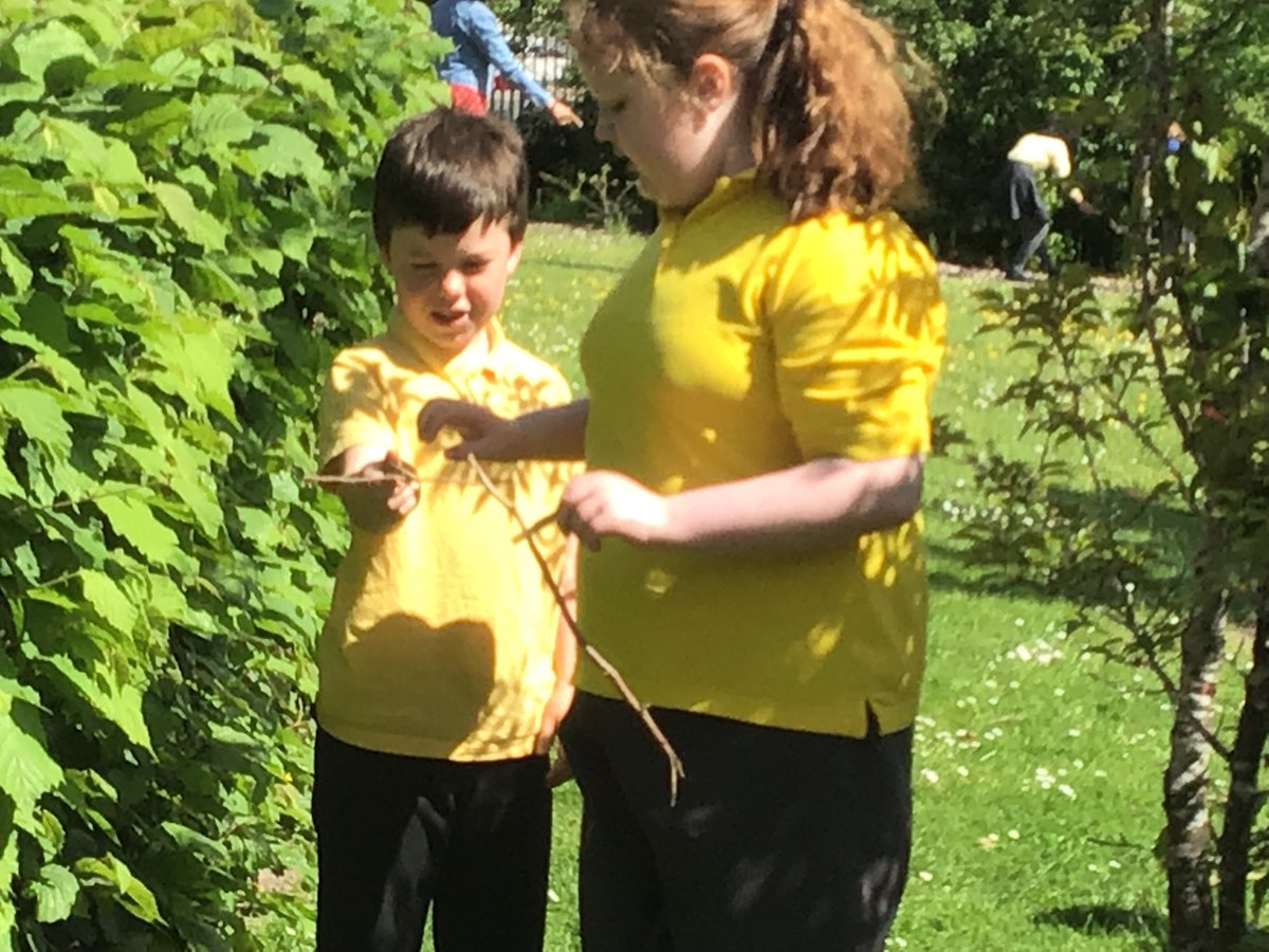 MissSladeY4's tweet photo. Brilliant birds!! today’s  challeng—build a birds nest using beaks only (pegs). We had to gather the correct materials and put them together. FAIL!!  It was not easy so we recognised that not all tests work. Birds really ARE brilliant. Ps: difficult with hands too @HollinPrimary https://t.co/zcddvaWcHn