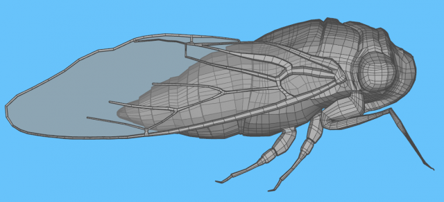 sketchUcation's tweet photo. By our user Builder54 of ALoft Carpentry &amp; Finishing.
On a hot summer's night, you may hear the buzzing sound produced by a cicada.
Cicadas Brood X 2021
@Sketchup Pro 2017
#QuadFace Tools, #Vertex tools, #SUbD from @evilsoftware 
https://t.co/6mBRR2uBso https://t.co/306uDwFGjn