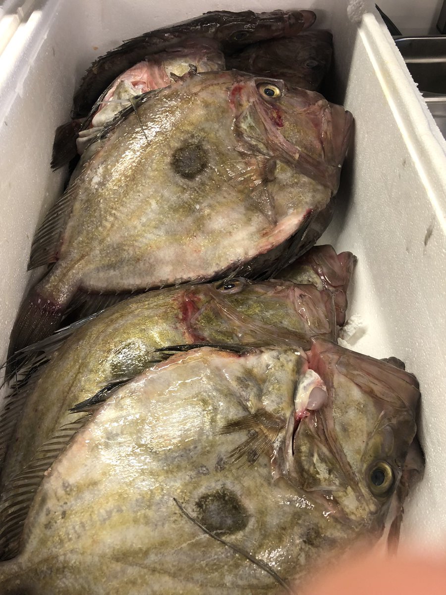 A pleasure to work with such amazing produce <a href="/BeacHouseOxwich/">BeachHouseRestaurant</a>