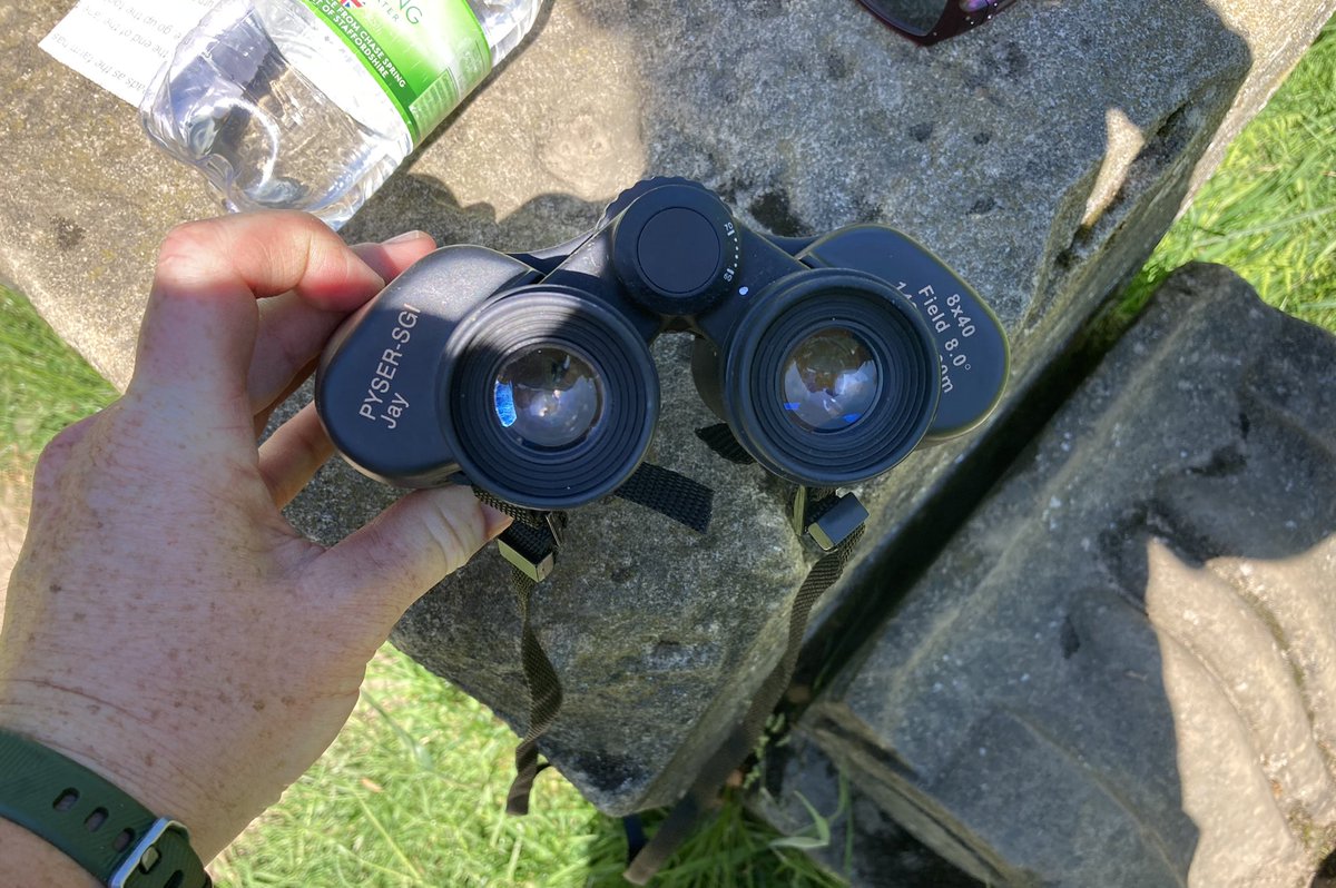 Diane Lee Matthews tweet media