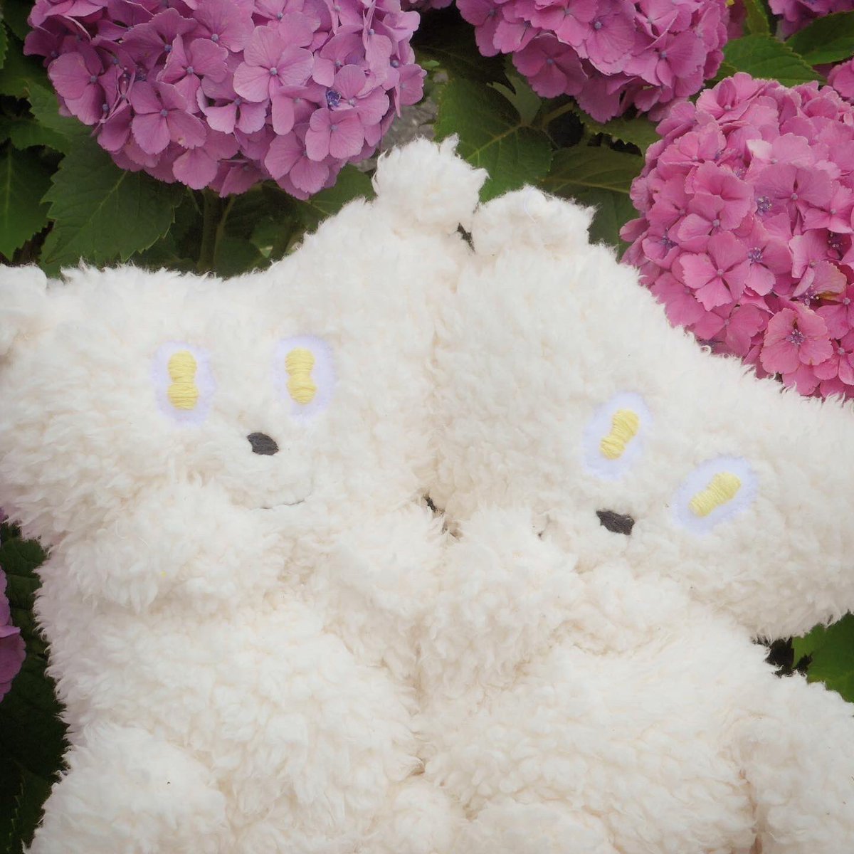 いとうひでのり 第41回 紫陽花 アジサイ綺麗もこねえ ホントもこね 紫もこね もこもこちゃん もこもこ 絵本のある暮らし ニジノ絵本屋さんの本 北澤平祐 カヤヒロヤ いとうひでのり Cartonbox もこもこちゃんtv 赤ちゃん絵本